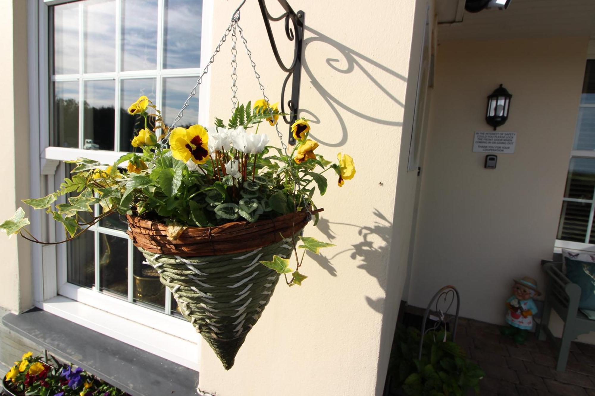 Melorne Farm Guest House Camelford Eksteriør billede