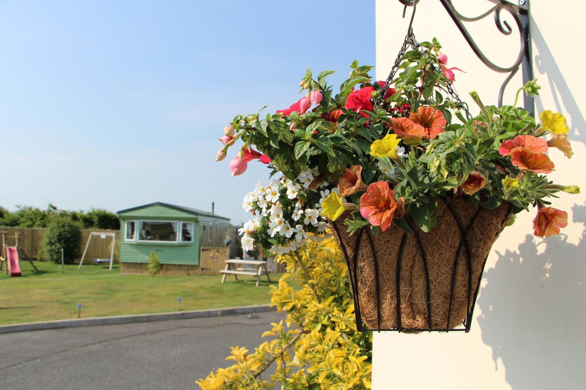 Melorne Farm Guest House Camelford Eksteriør billede